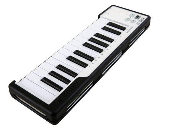 Arturia MicroLab Schwarz