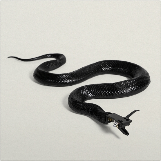 Serato Control David Ellis Sidewinder Control Vinyl Pressung (Paar) - Verfügbar