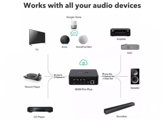 WiiM Pro Plus Schwarz - Streamer