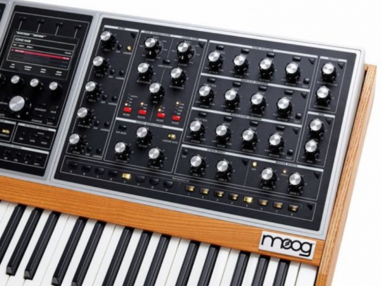 Moog One 16