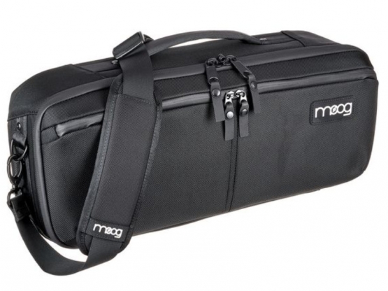 Moog SR Series Etherwave Case