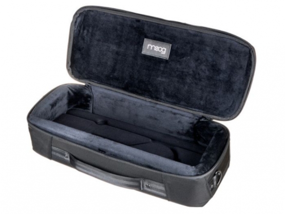 Moog SR Series Etherwave Case