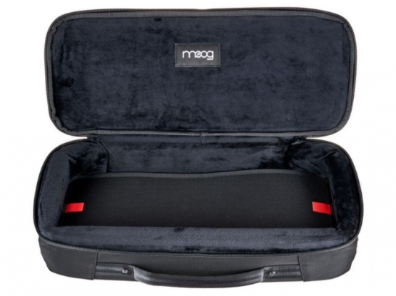 Moog SR Series Etherwave Case