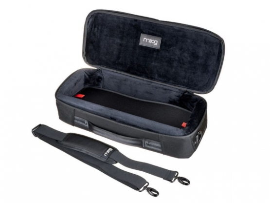 Moog SR Series Etherwave Case