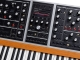 Moog One 16