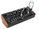 Moog Spectravox