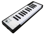 Arturia MicroLab Schwarz